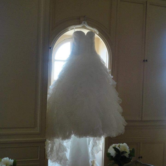Sophia Moncelli Wedding Dress - Picture 6 of 6